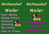 Voransicht Flyer Wellnesshof - Grafische Darstellung der Hühner aus openclipart.org