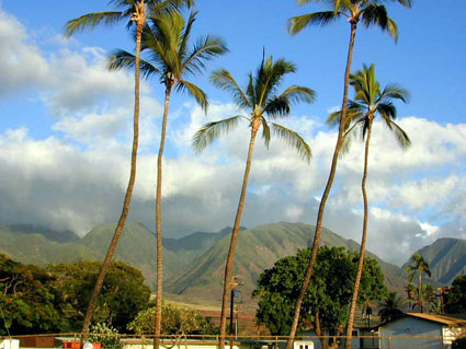 Hawaiimotiv aus Wikipedia